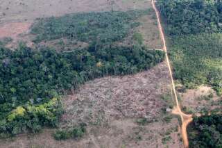 La déforestation en Amazonie n'a jamais été aussi forte depuis 2008