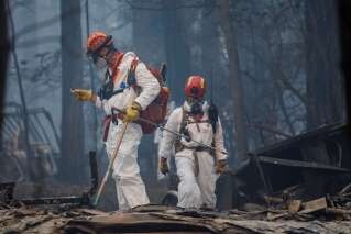 Les incendies en Californie ont fait plus de 60 morts et 600 disparus
