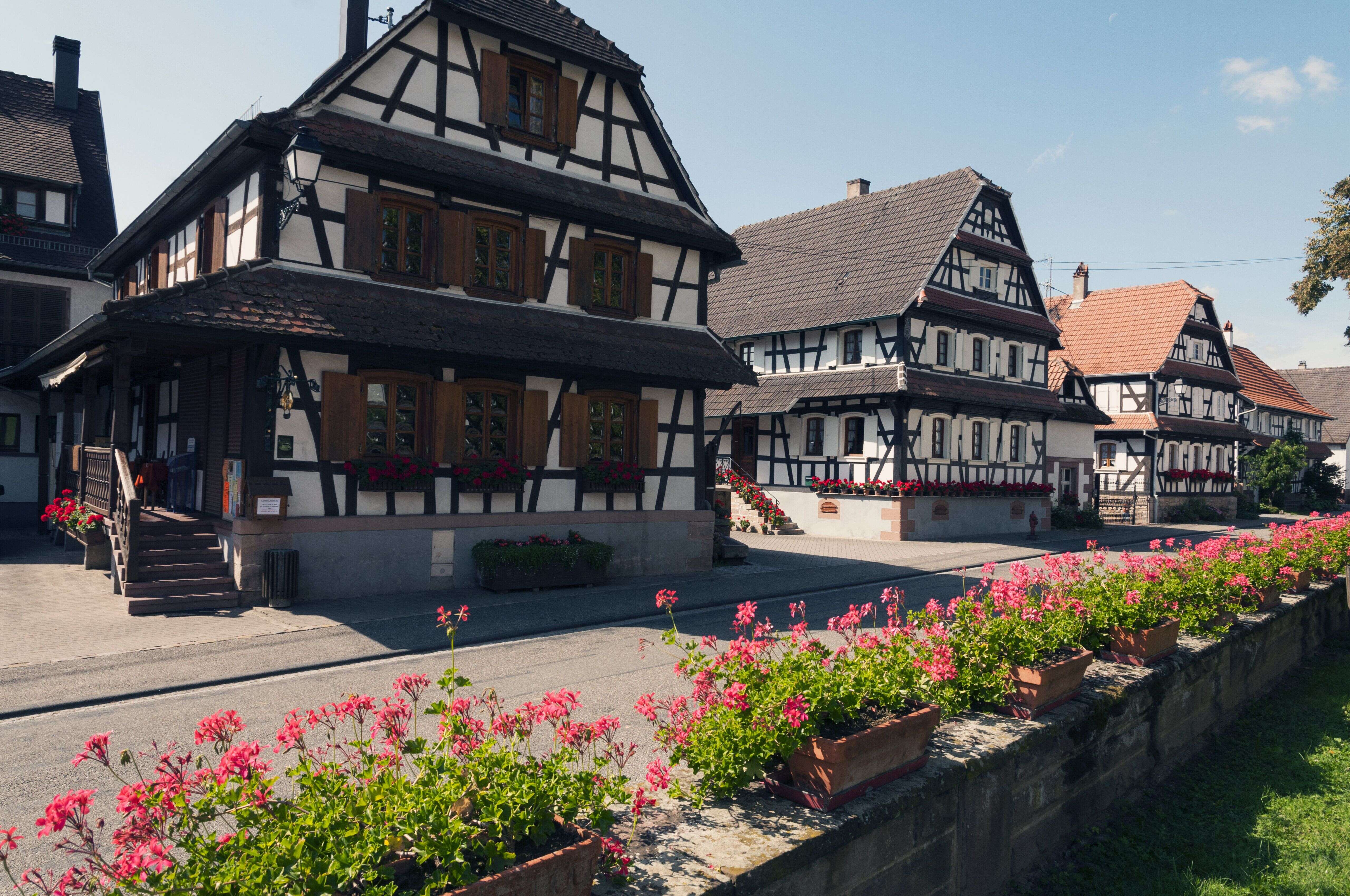 Hunspach en Alsace élu village préféré des Français