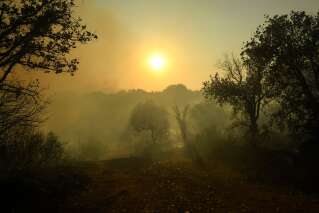 L'incendie dans le Vaucluse contenu après 250 hectares parcourus