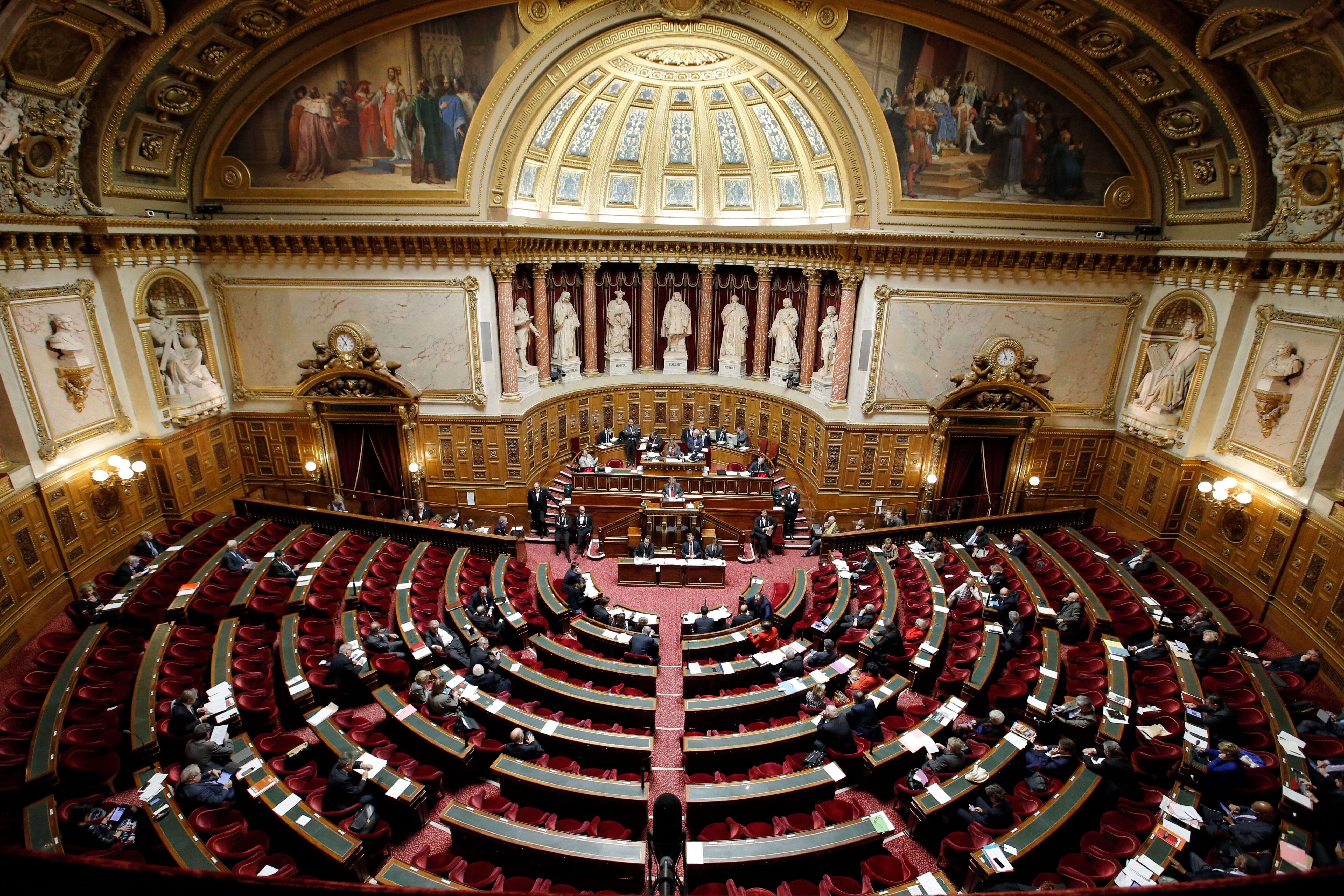 Le Sénat le 11 décembre 2014  (AP Photo/Francois Mori, File)