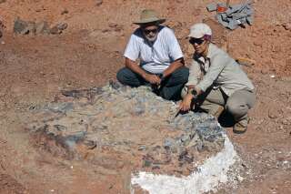 Un cimetière de dinosaures découvert en Argentine
