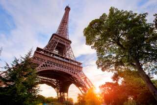 À Paris, l'abattage d'arbres au pied de la tour Eiffel fait scandale