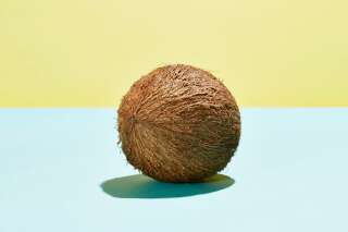 Notre obsession pour la noix de coco nuit-elle à l'environnement ?