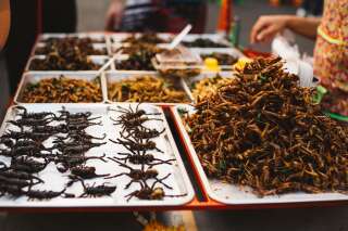Dans de nombreux pays dans le monde, la consommation d'insectes fait partie de la culture culinaire.