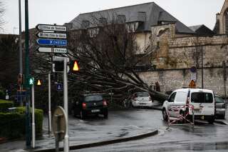 Une photo prise le 16 février 2020 montrant des voitures endommagées après la chute d'arbres à Caen.