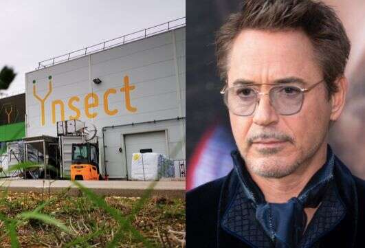 Robert Downey investit des millions dans une start-up française productrice d'insectes 