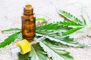Le cannabis thérapeutique va être testé en France
