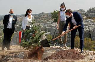 Emmanuel Macron plantant un cèdre durant une cérémonie pour la célébration du centenaire du Liban dans la réserve naturelle de Jaj Cedars le 1er septembre 2020.