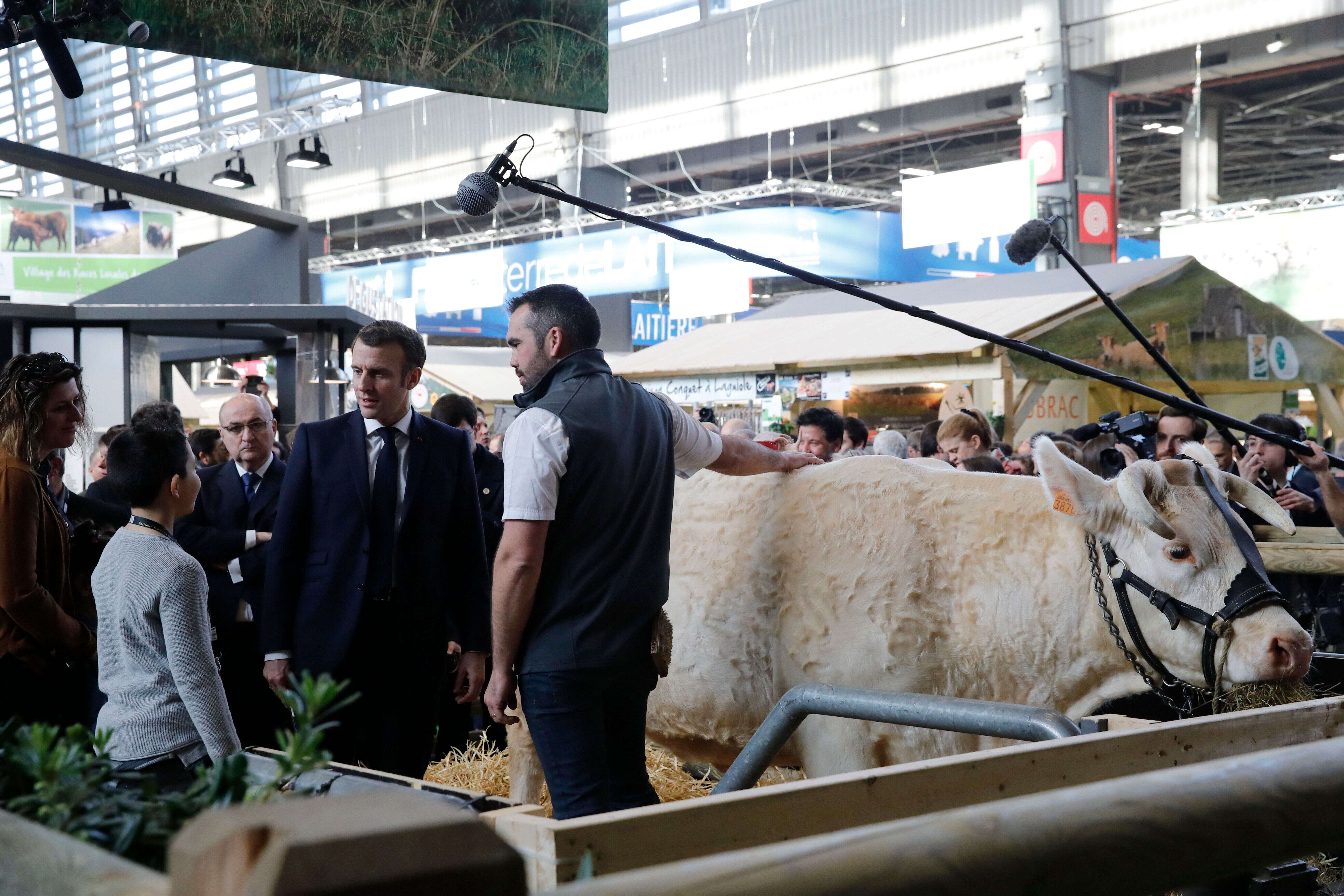 Le Salon de l'agriculture 2021 est annulé à cause du coronavirus (Image d'illustration: Emmanuel Macron au Salon 2020 le 22 février).