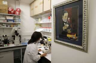 Une chercheuse de l'Institut Pasteur étudie un agent infectieux (photo  d'illustration)