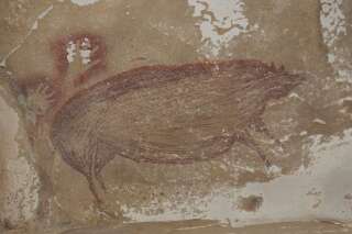 Cette peinture de cochon pourrait être la plus ancienne réalisée par l'homme