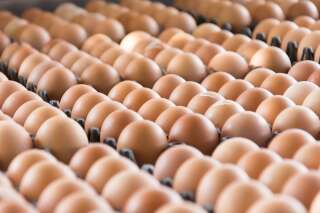 Des lots d’œufs contaminés à l’insecticide livrés en France, en provenance des Pays-Bas
