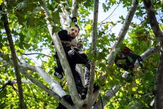 Thomas Brail, le militant perché devant le ministère de l'Écologie redescend de son arbre