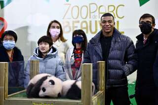 Zoo de Beauval : actualités et infos décalées en continu, en France et dans  le monde