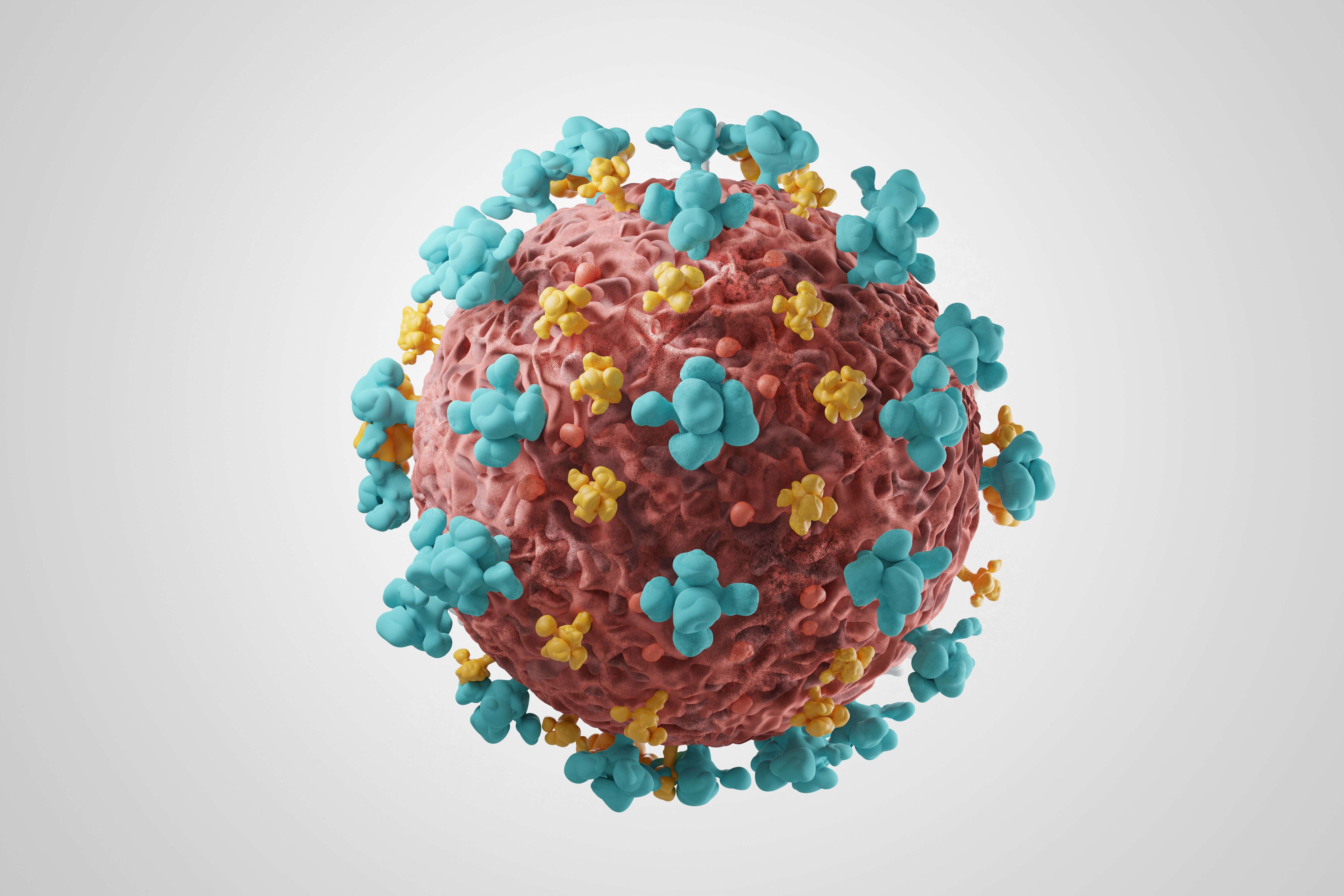 Deux variants du coronavirus avec des mutations nombreuses sont apparus quasi simultanément