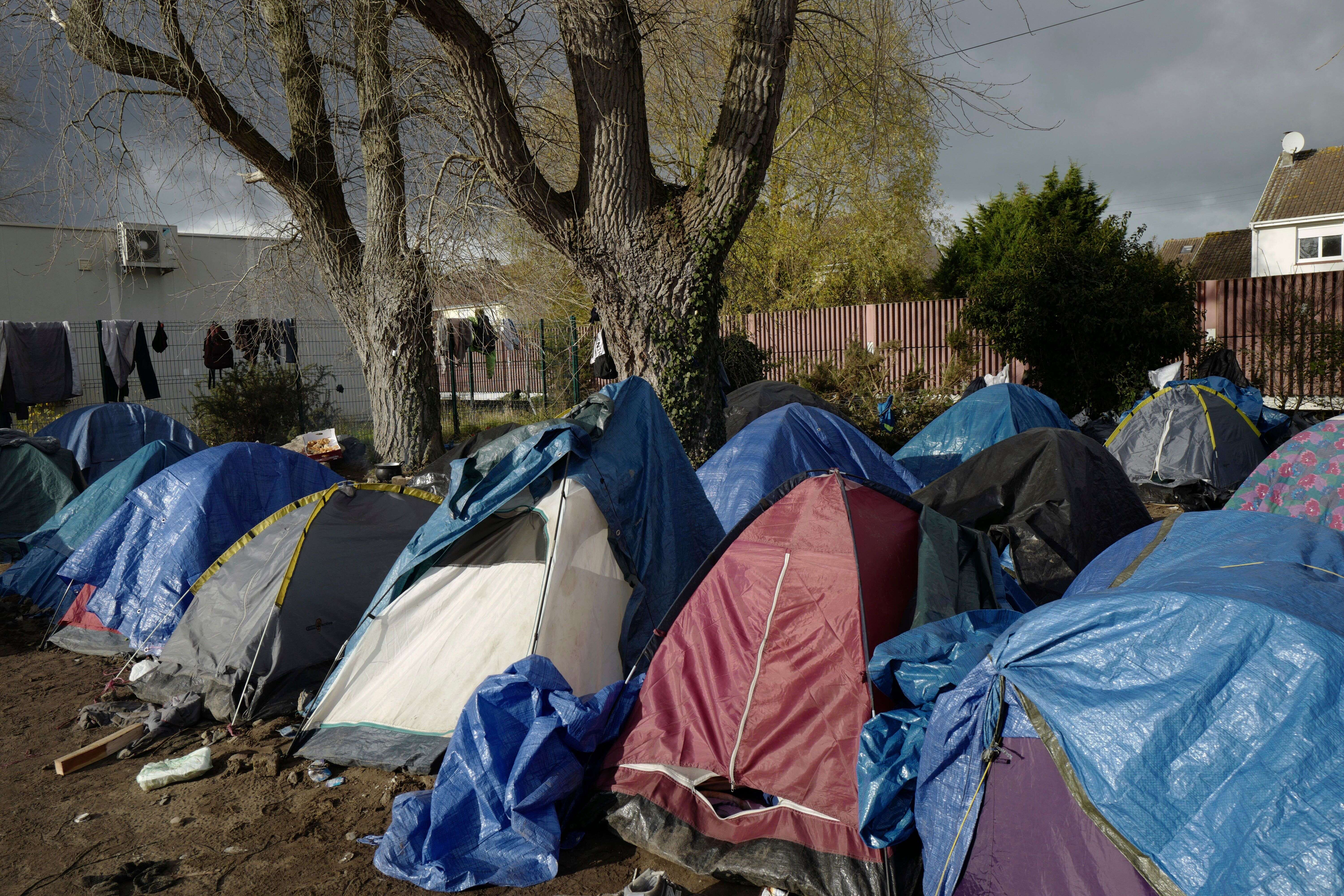 Des tentes d'un campement installé à Calais, le 27 novembre 2021 (AP Photo/Rafael Yaghobzadeh)