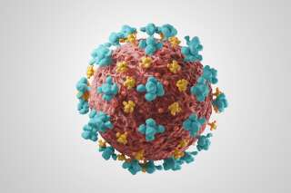 Mutation du coronavirus en Angleterre: ce que la science dit de la souche britannique
