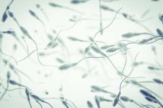 Les particules fines affectent la qualité du sperme, selon cette étude