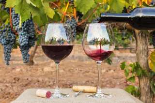 Le vin de Bordeaux version 2050 imaginé par ce viticulteur n'a pas grand chose à voir avec celui que vous buvez