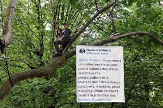 Thomas Brail, assis sur une branche d'un arbre centenaire dans les jardins bordant la Tour Eiffel, à Paris, le 31 mai 2022.