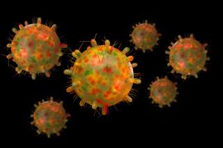 Modélisation 3D du coronavirus (Photo Uma Shankar sharma / Getty Images)