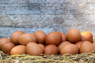 À cause de la grippe aviaire, des œufs plus chers et des rayons dégarnis