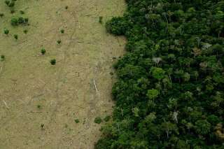 L'Amazonie souffre d'une forte déforestation, conduisant à une 