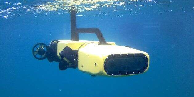 Rangerbot en action, sous l'eau, dans la région de la grande barrière de corail, au nord-est de l'Australie.