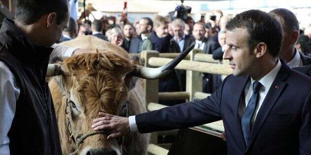 Au salon de l'agriculture, Macron prend le taureau prend les cornes (au risque d'en sortir abîmé).