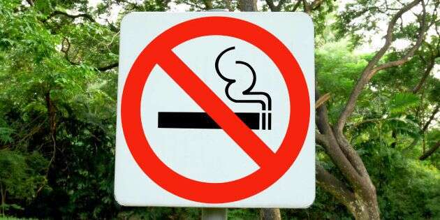 Quatre parcs non-fumeurs à Paris dès cet été