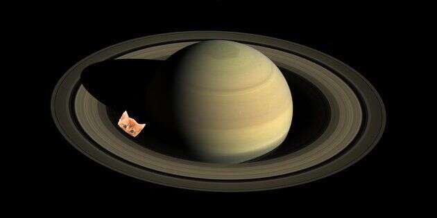 Cassini a découvert 60