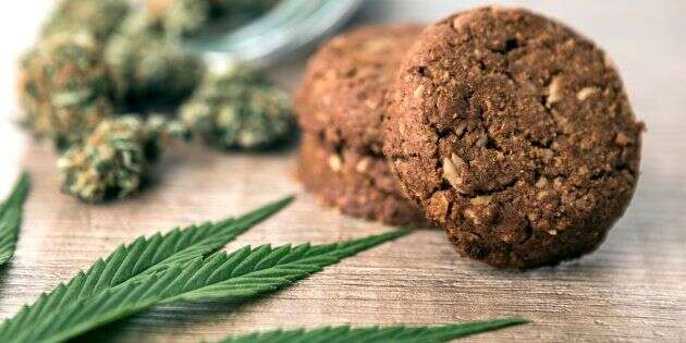 Les cookies au cannabis figurent parmi les premiers modes d'administration du cannabis comestible.