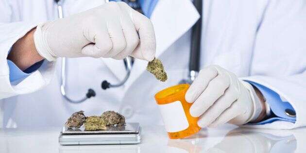 Cannabis à usage médical: des élus de gauche et LREM et des médecins appellent à la légalisation