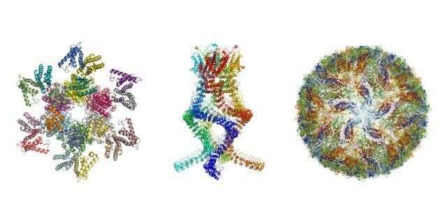 VIH, zika, Alzheimer... comment la découvert des prix Nobel de chimie a révolutionné la biologie