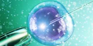 In vitro fertilization is a one assisted reproductive technology (ART) commonly referred to as IVF. IVF is the process of fertilization by manually combining an egg and sperm in a laboratory dish, and then transferring the embryo to the uterus.Computer artwork.