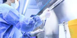 Un traitement sur l'Homme de Parkinson par cellules souches va être testé au Japon