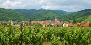 Wineries around Riquewihr Elsass France
