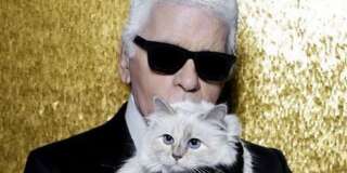 La chatte de Karl Lagerfeld Choupette a rendu hommage à son maître sur Instagram.