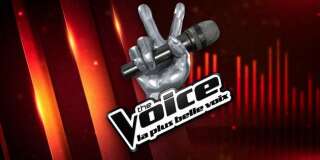 Lisandro Cuxi est le grand gagnant de The Voice