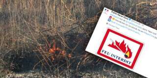 Plus de 1300 hectares de végétation ont été ravagés par des incendies en moins de 48h en Corse. L'écobuage est mis en cause.