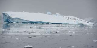 Antarctica's melt quickens, risks meters of sea level rise: study. (Reuters)