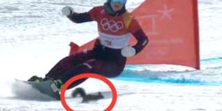 Aux JO d'hiver 2018, cet écureuil a donné des frissons aux spectateurs du slalom géant parallèle