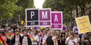 Des manifestants réclamant l'ouverture de la PMA aux couples lesbiens et aux femmes seules.