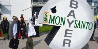 L'action de Bayer, propriétaire de Monsanto, a fait les frais de la condamnation américaine