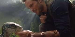 Chris Pratt caresse un bébé dinosaure dans les premières images.
