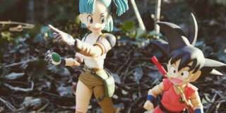 Voici une figurine de Bulma et Goku mis en scène en pleine nature. Plusieurs collectionneurs s'adonnent à ce hobby.