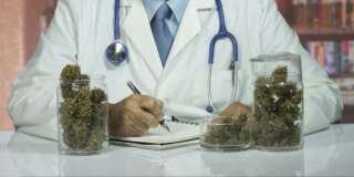 Doctor with medical marijuana