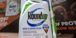 Les dommages et intérêts dus par Monsanto dans le procès du Roundup très largement réduits.