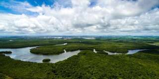 Le Brésil livre quatre millions d'hectares de forêt amazonienne à l'exploitation minière.
